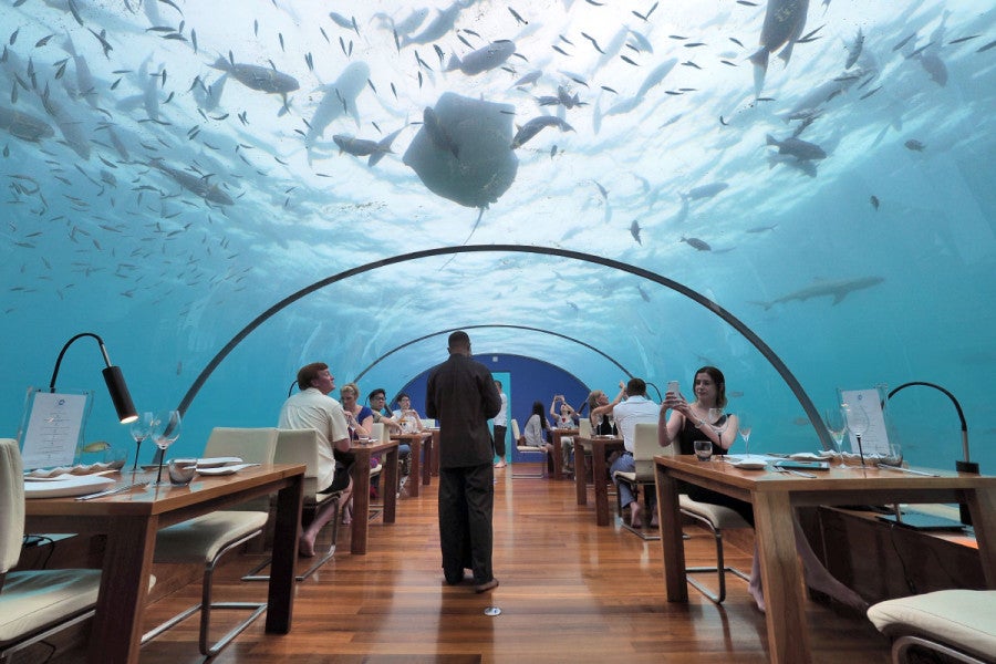 a waiter walks between tables at an underwater restaurant, where many aquatic species swim over the glass dome