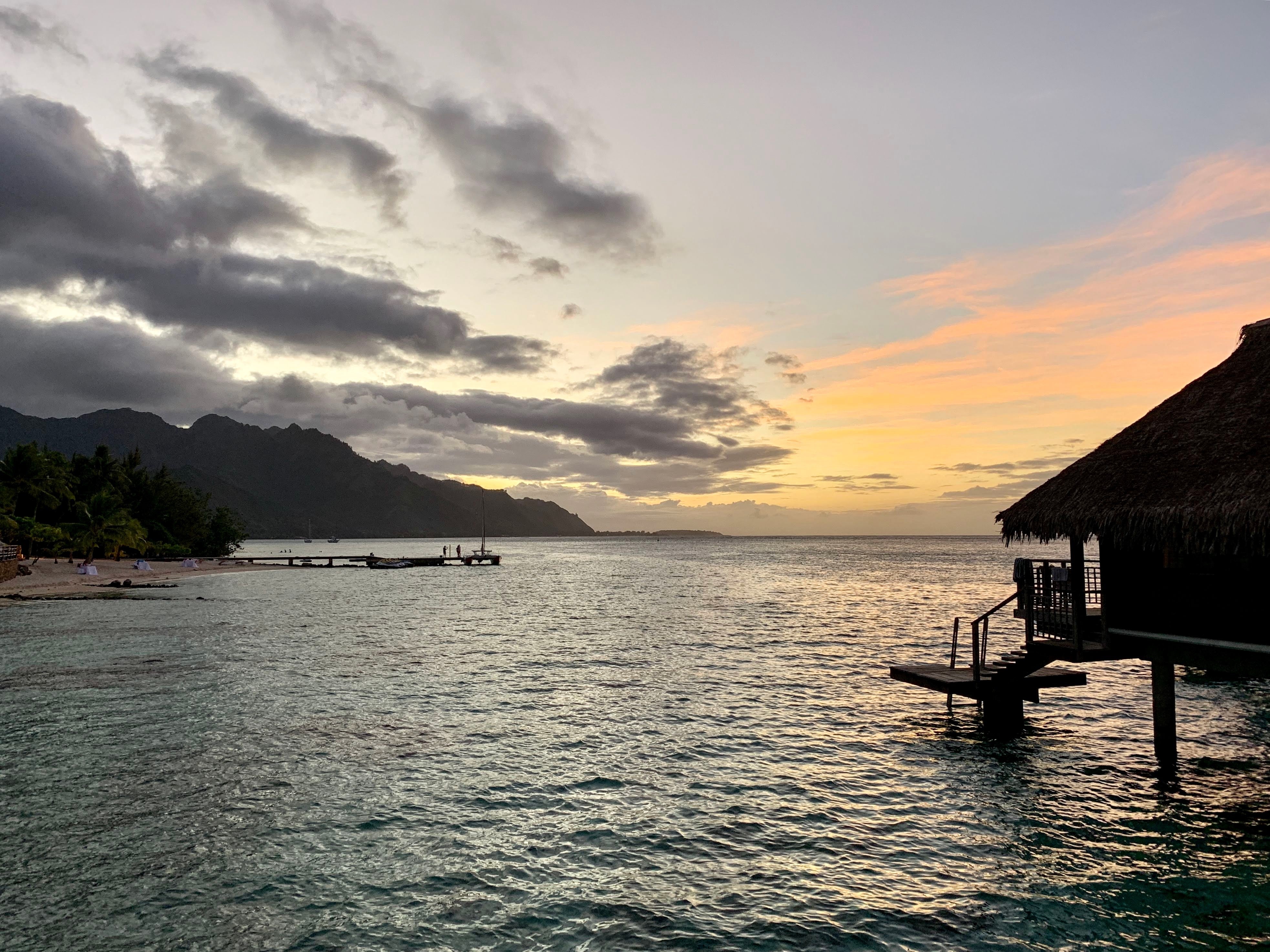 Unlocking Premium Travel Rewards: Capital One Venture X vs. Ritz-Carlton Rewards Card Insights