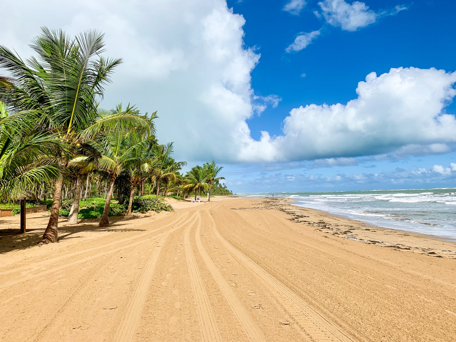 Take a one-way cruise to Puerto Rico