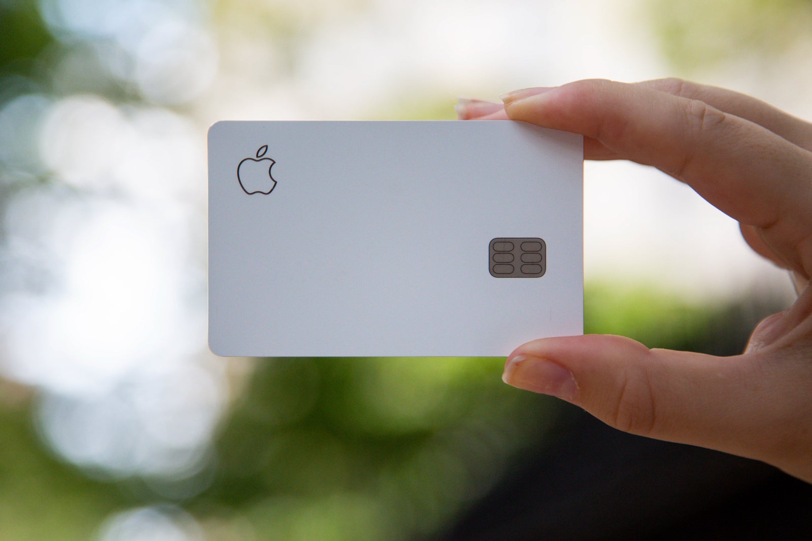 a hand holds the Apple card