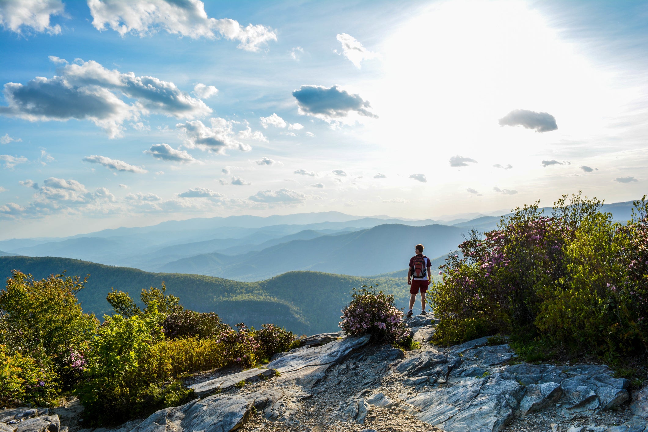 hiker 