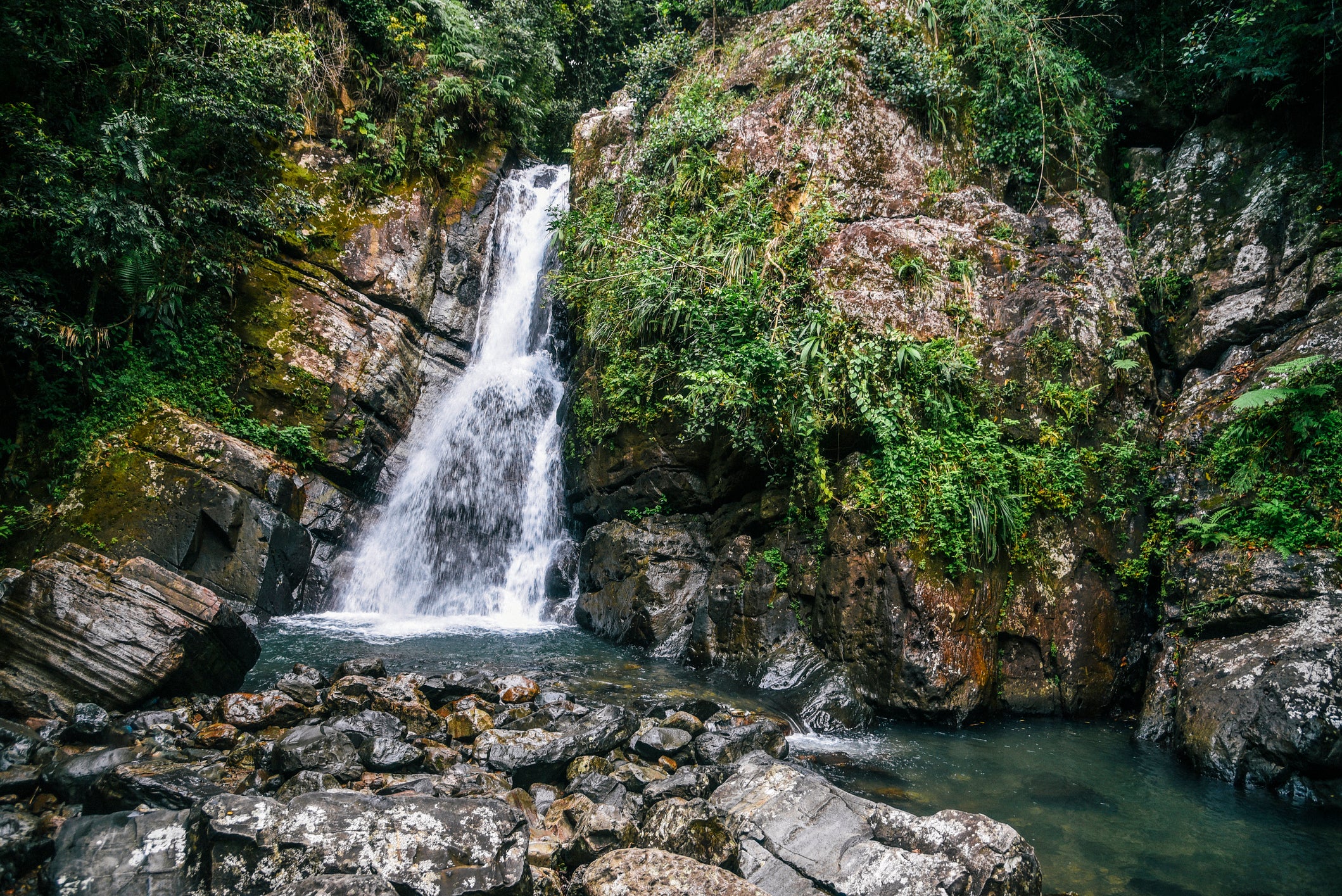 La Mina Falls in El Yunque National Forest,