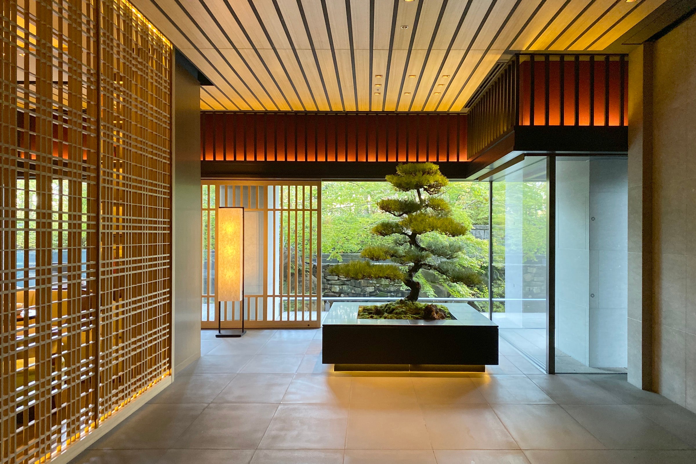 bonsai tree in Ritz-Carlton, Kyoto lobby