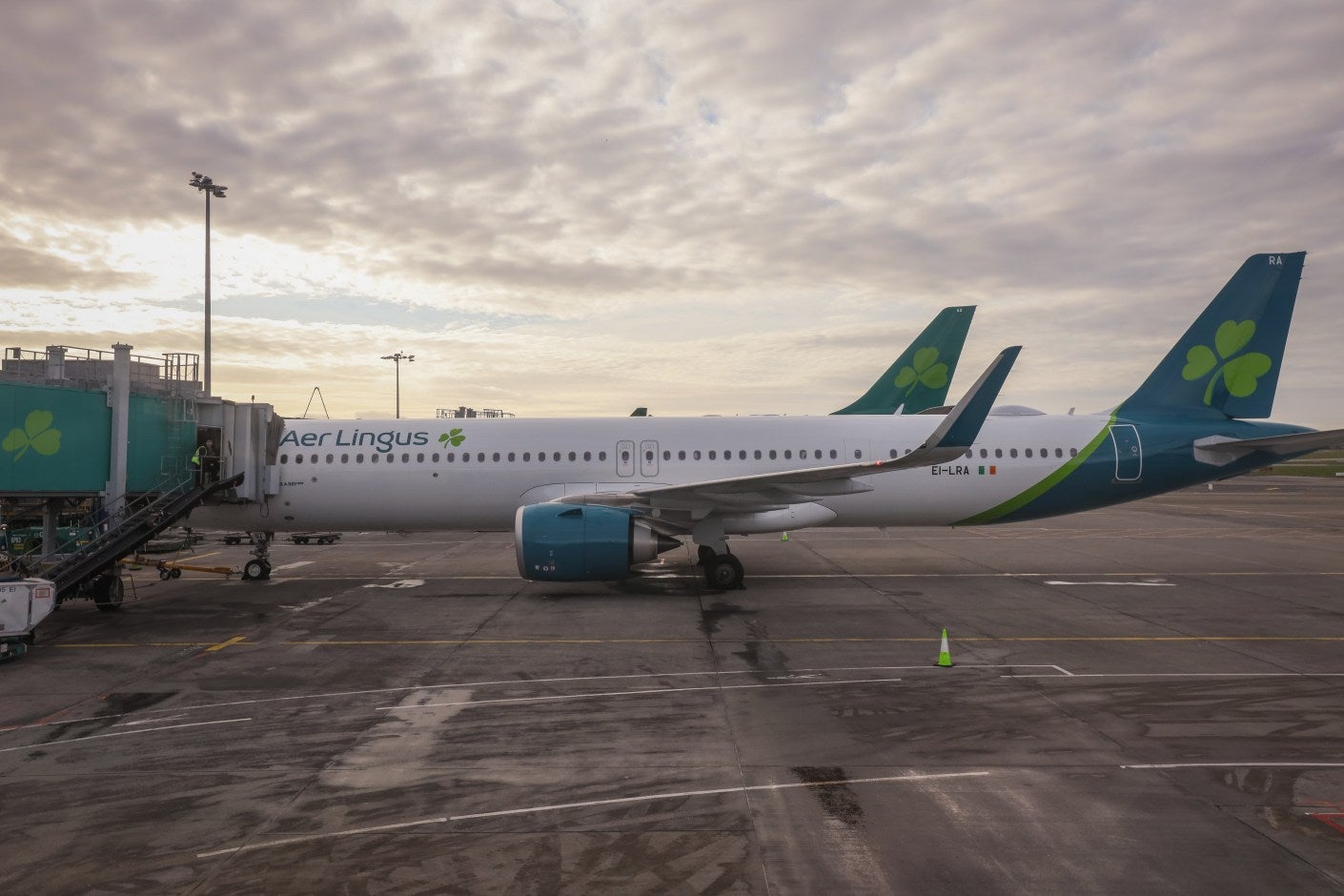 Aer Lingus A321neo at gate in DUB
