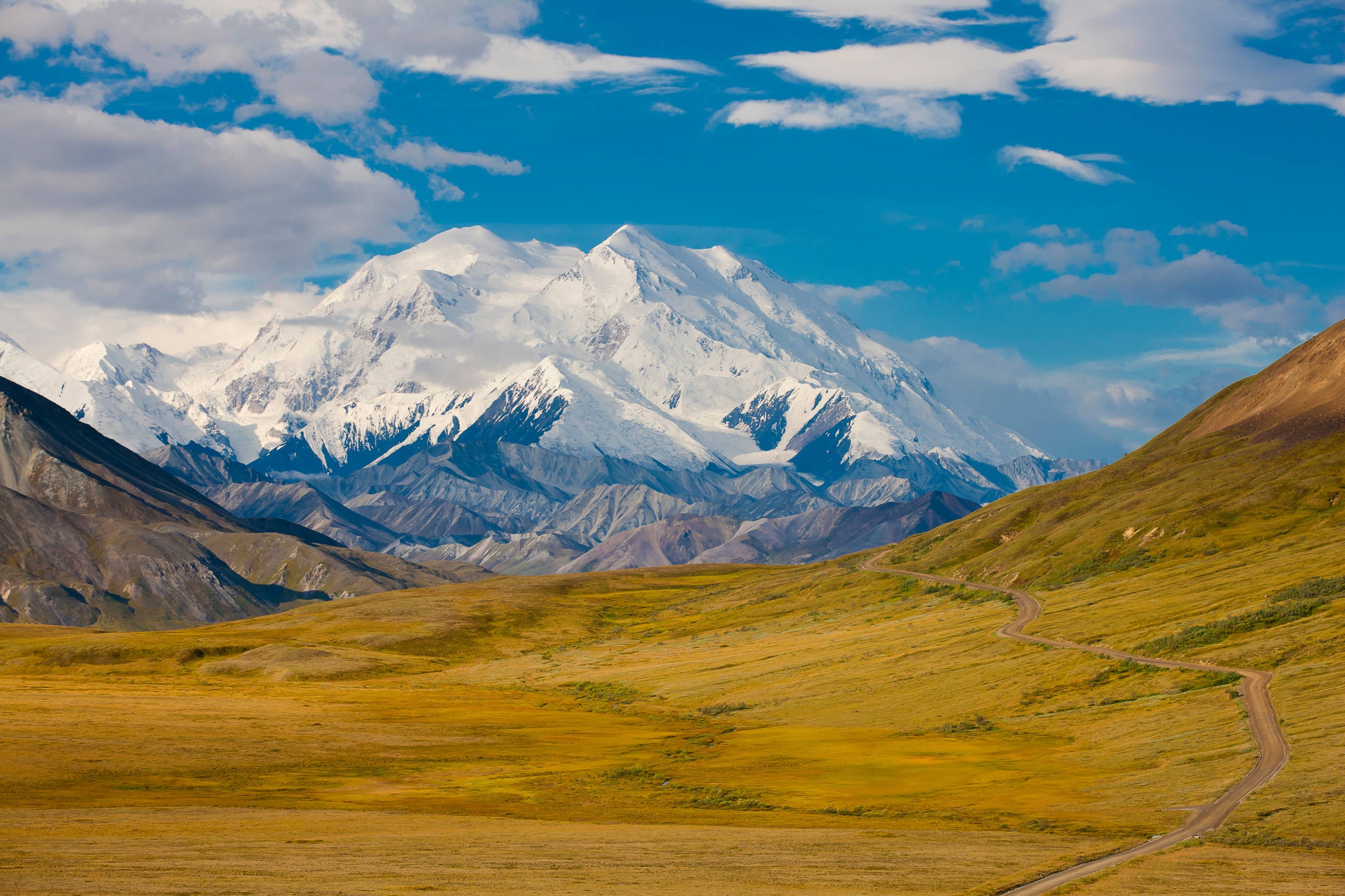 View of Denali from within Denali National Park