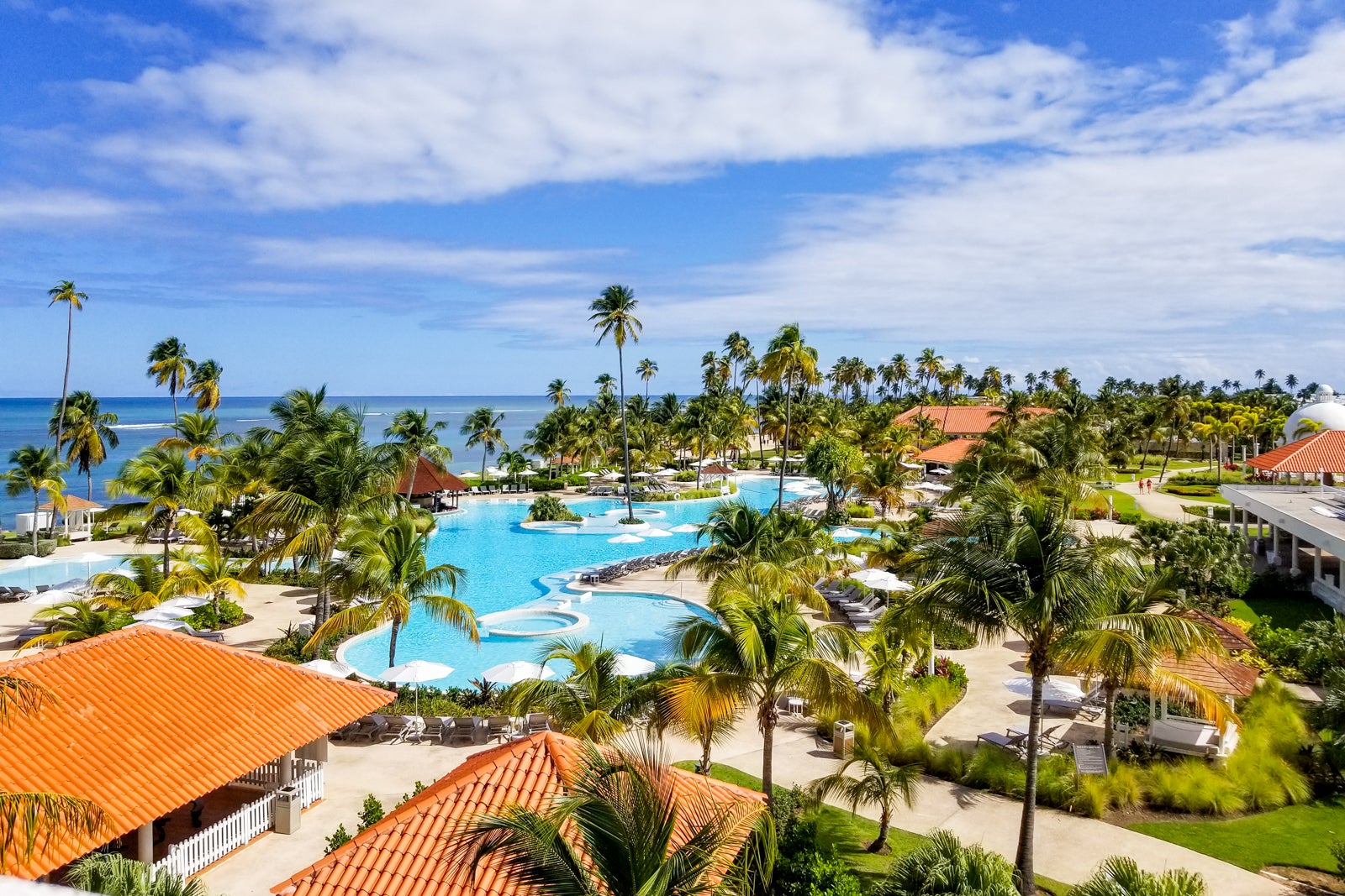 Tropical Hyatt resort overlooking the pool and ocean