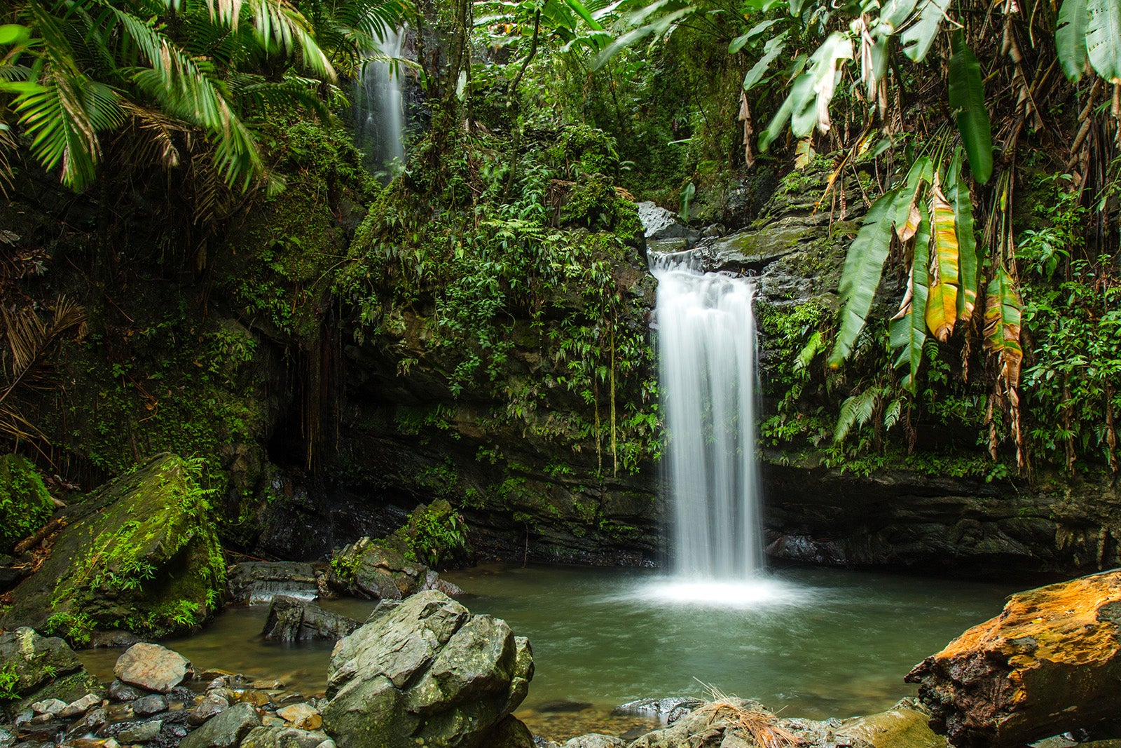 waterfall in El Yunque National Forest