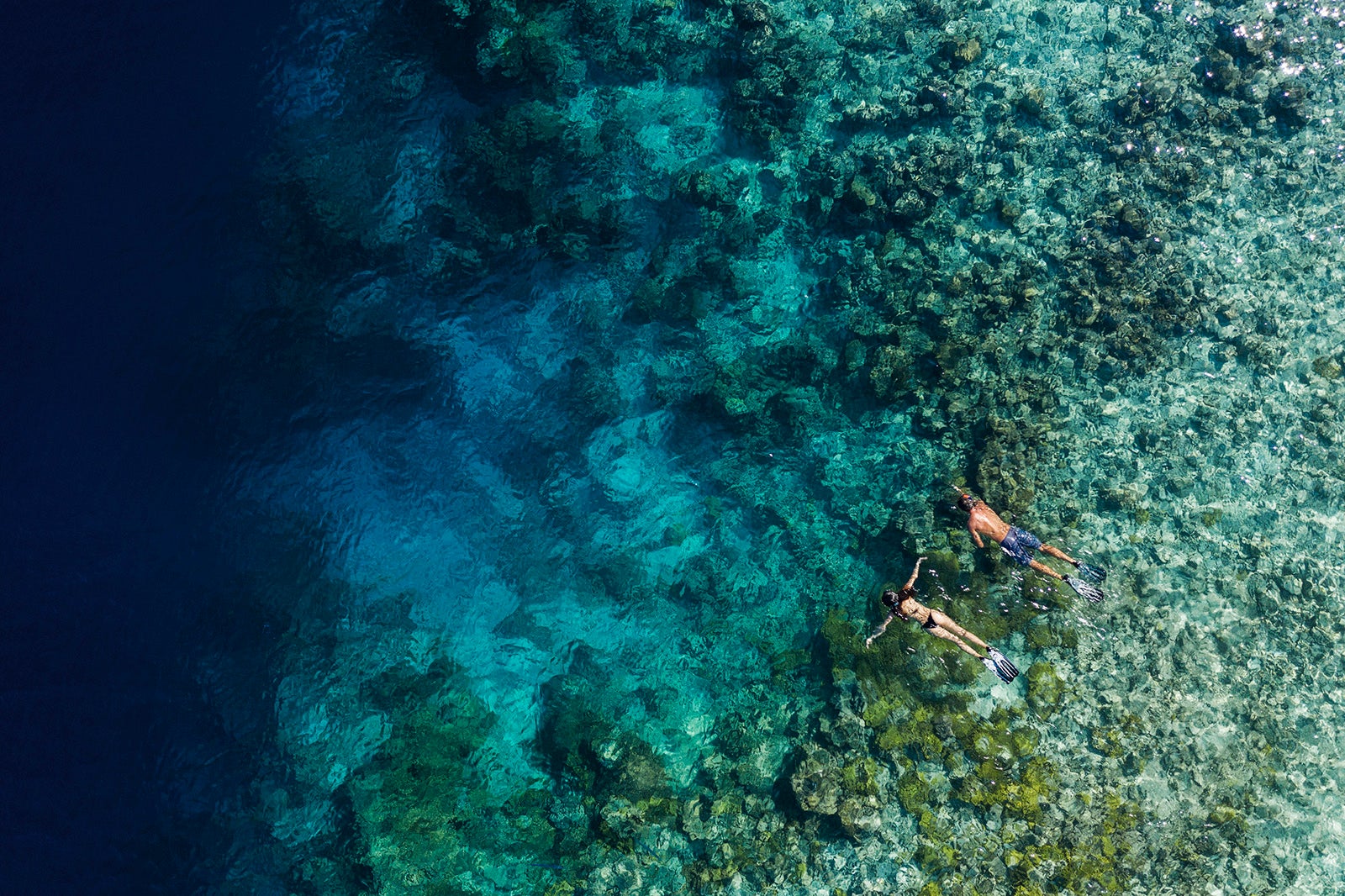 aerial view of two people snorkeling over reef at Waldorf Astoria Maldives Ithaafushi