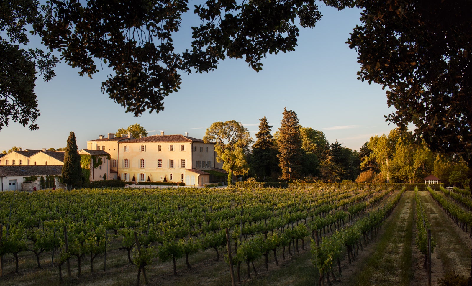 Airbnb on vineyard