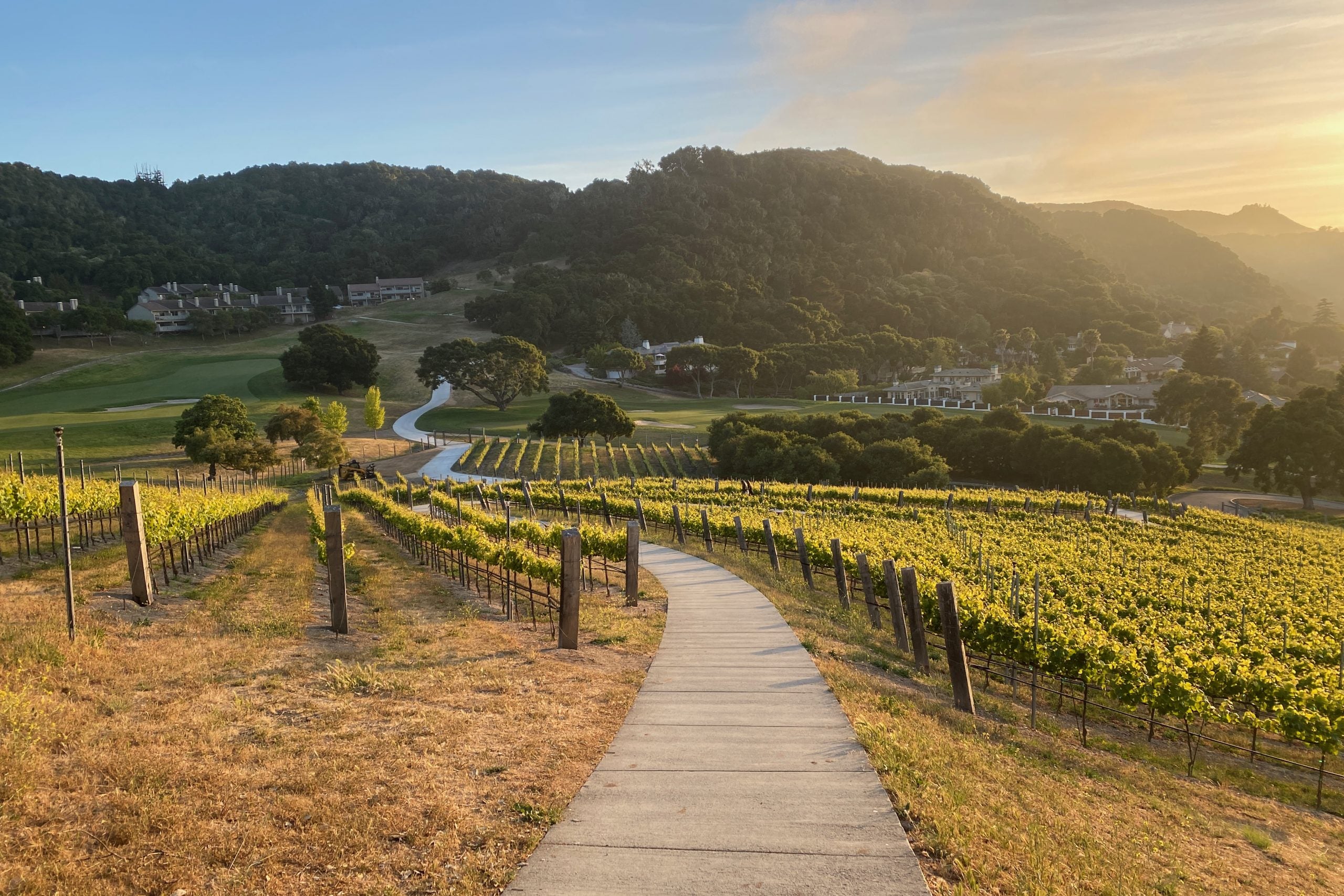 Hyatt's Carmel Valley Ranch