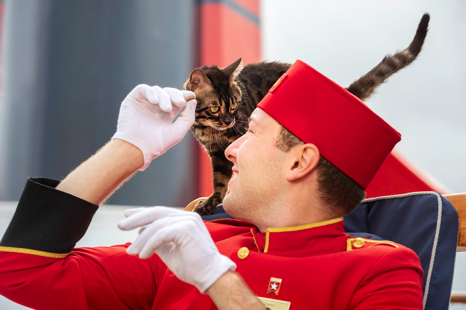 A cat aboard Cunard Queen Mary 2