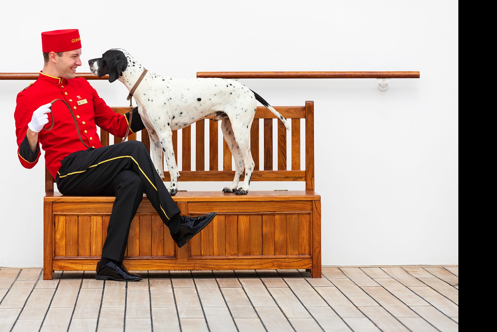 A dalmation aboard Cunard Queen Mary 2