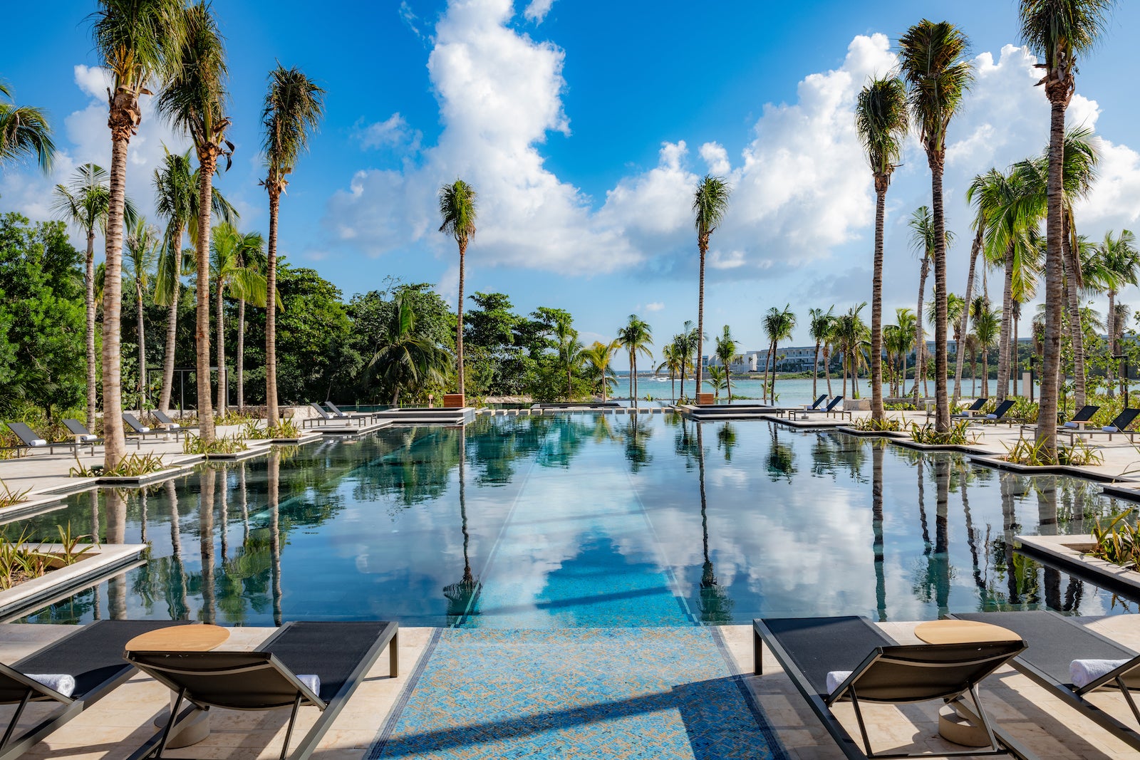 large pool surrounded by palm trees and lounge chairs