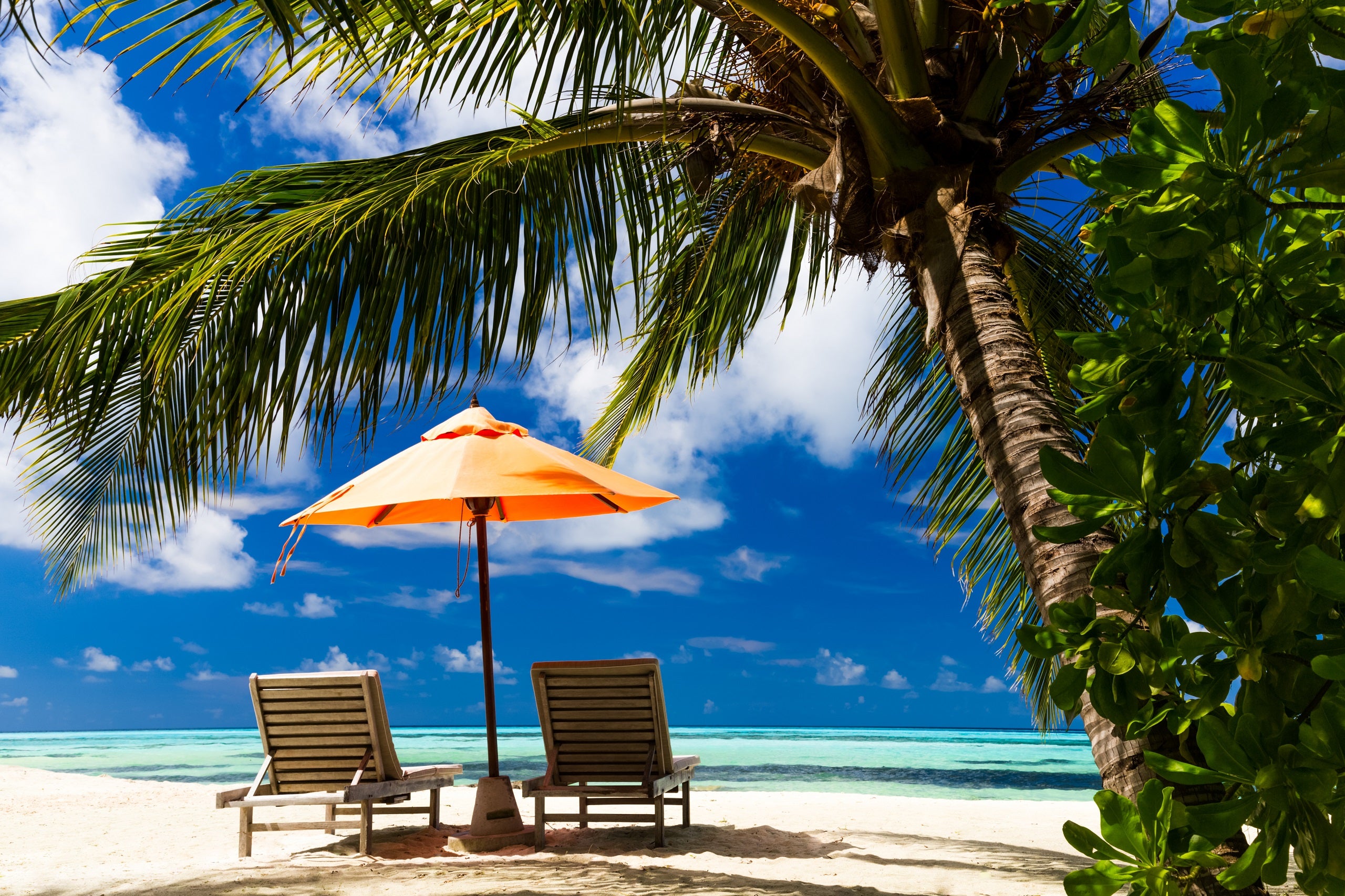 A tropical beach with a palm tree in the foreground, two beach chairs with an orange umbrella in the middle ground and white sand with teal water and blue sky in the background