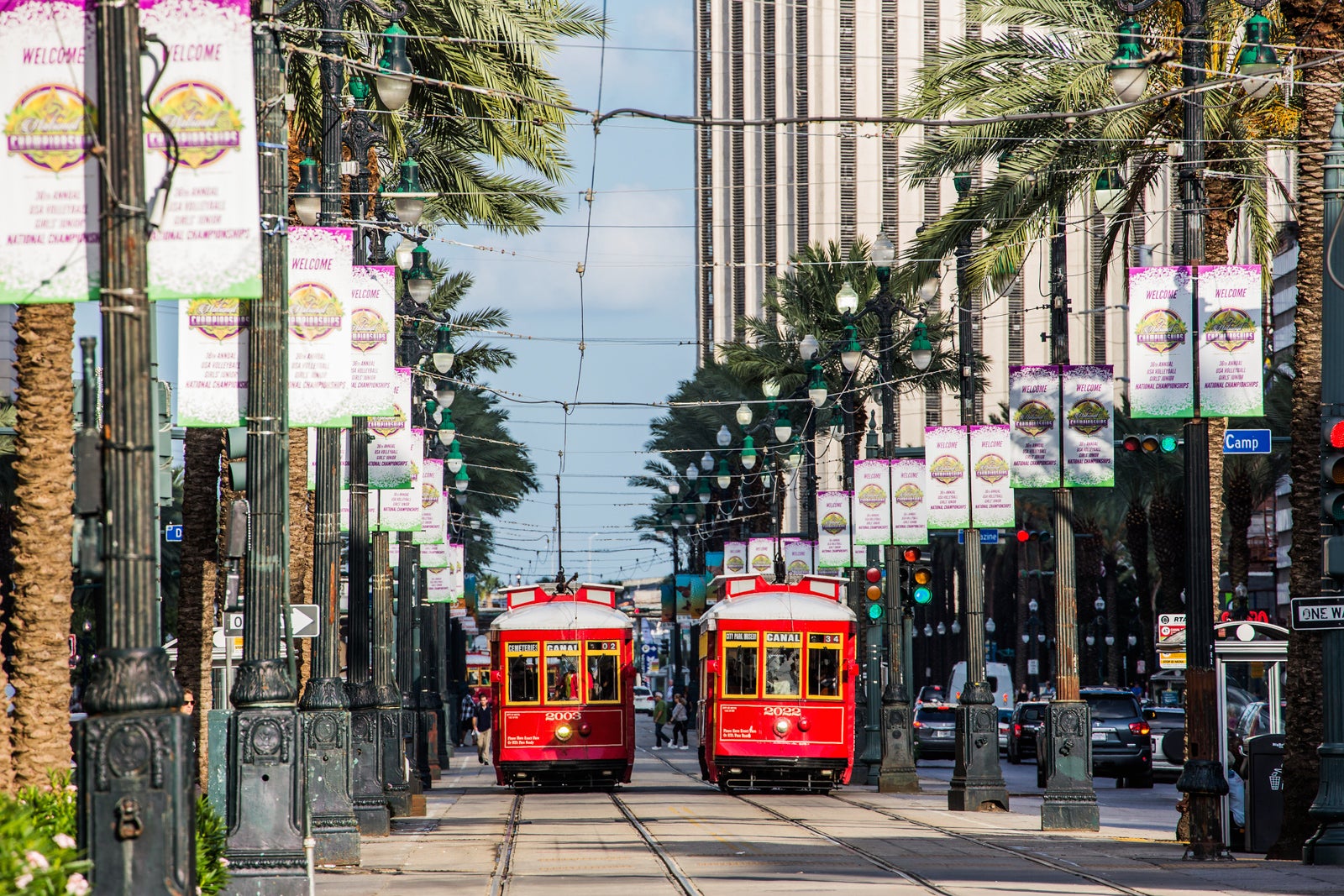 two red streetcars surrounded by palm trees and buildings