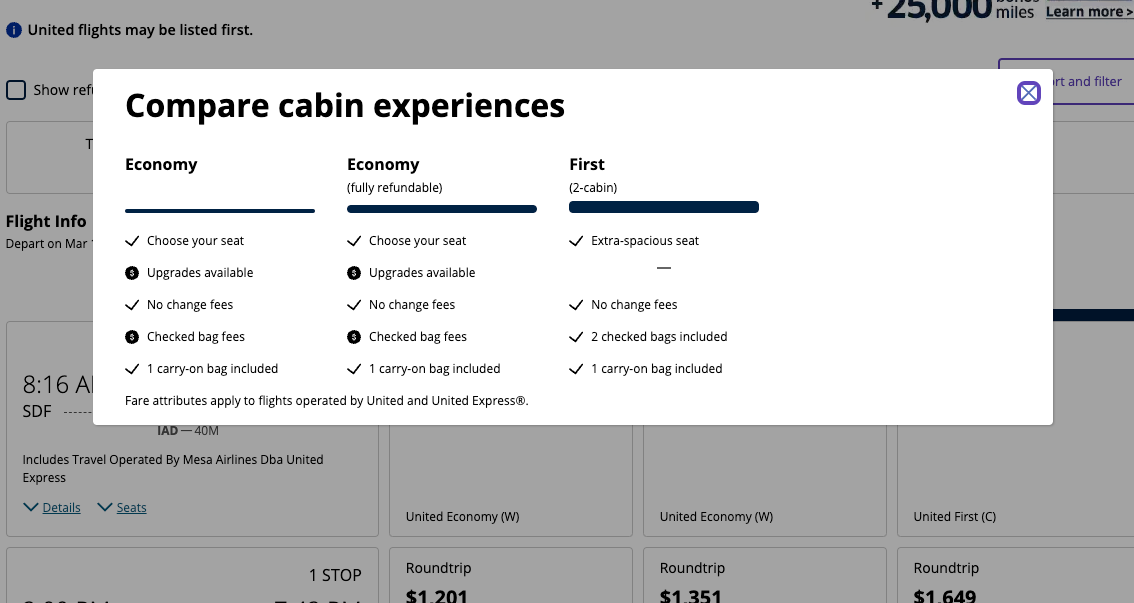 Screenshot of United Airlines fare types