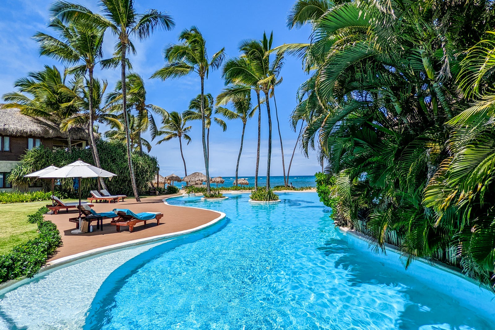 a tranquil hotel pool flanked by grass-thatch huts, palm trees and an ocean