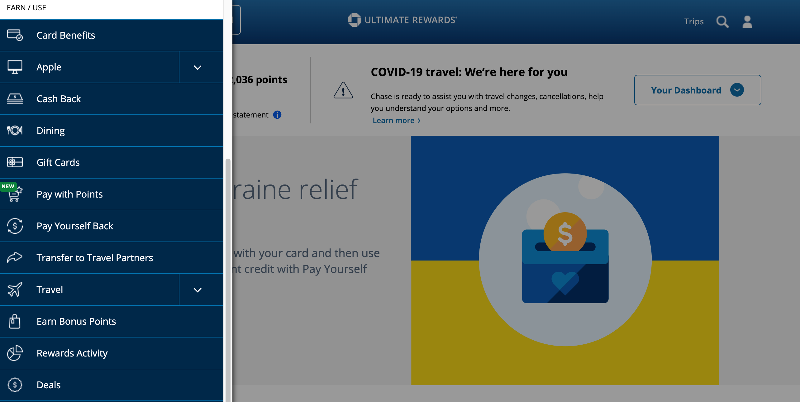 Screenshot of the Chase dashboard for using points after logging in