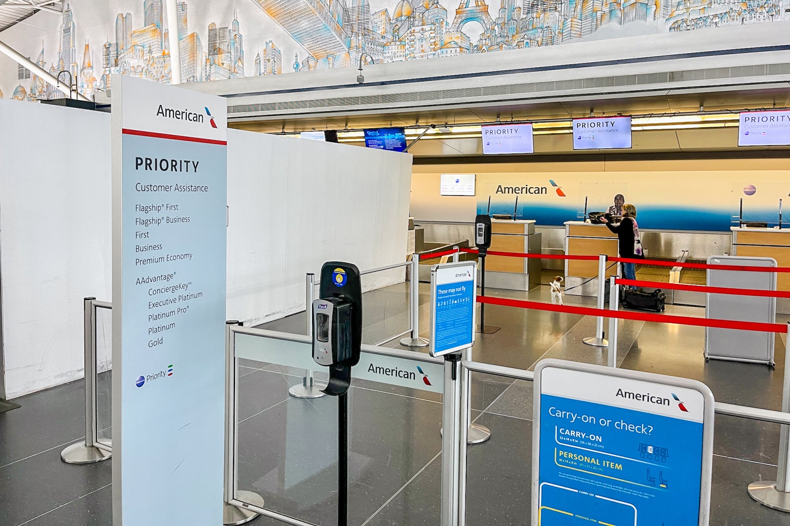 American Airlines Priority Check-in