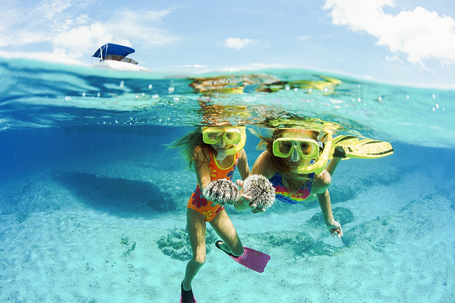 snorkeling in cayman islands