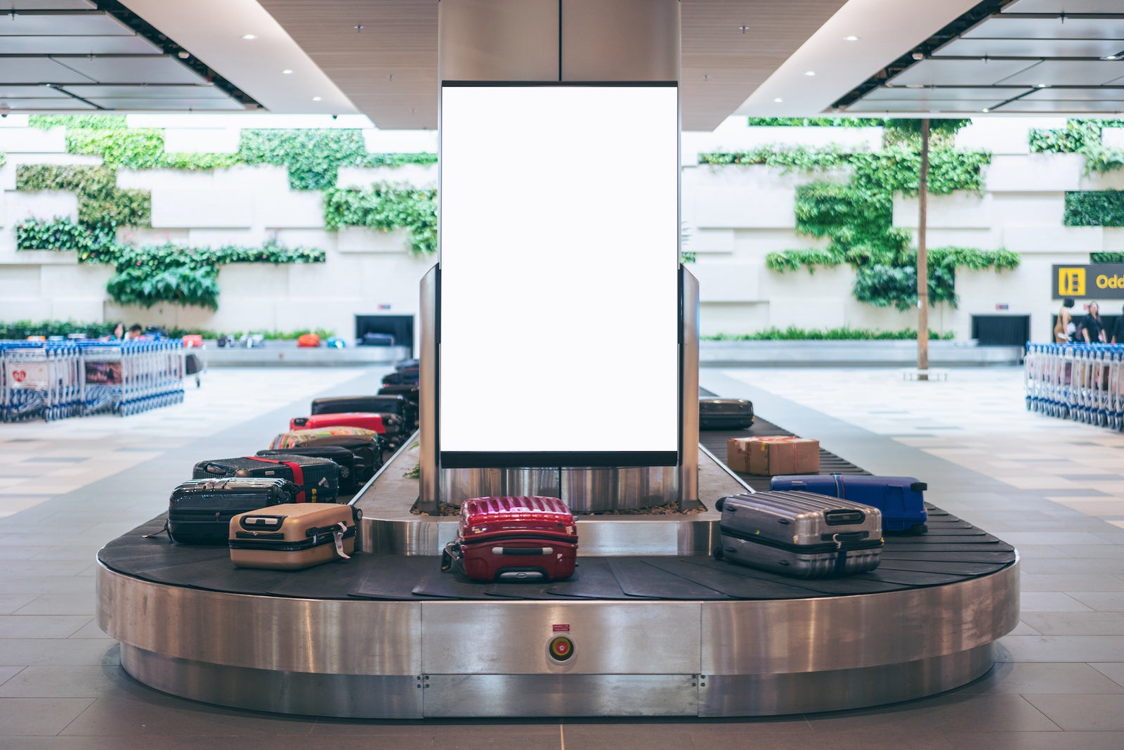 luggage carousel loaded with bags