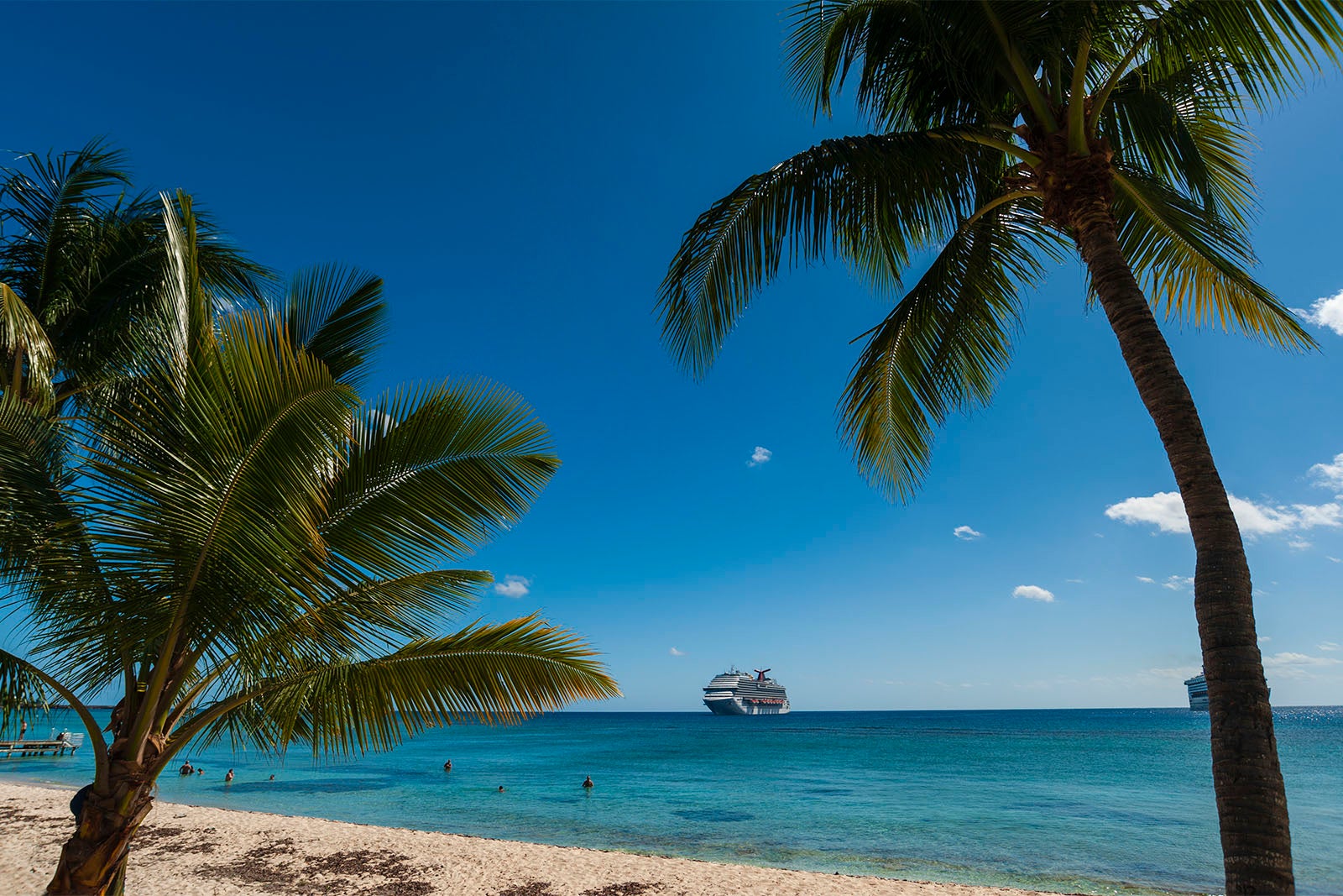 Palm trees on Grand Cayman beach with Carnival cruise ship