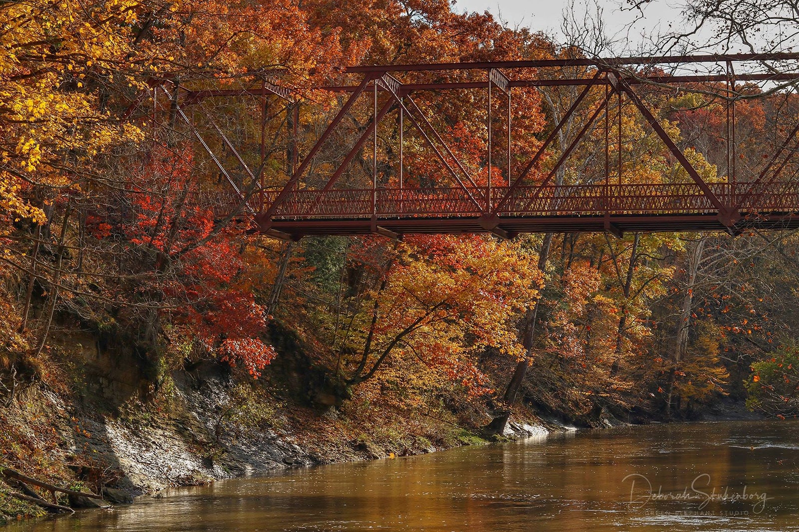 McCloud Nature Park’s Vandalia Trail ablaze with fall foliage