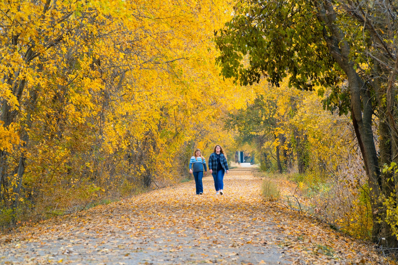 Two women walking on Katy Trail with yellow fall foliage