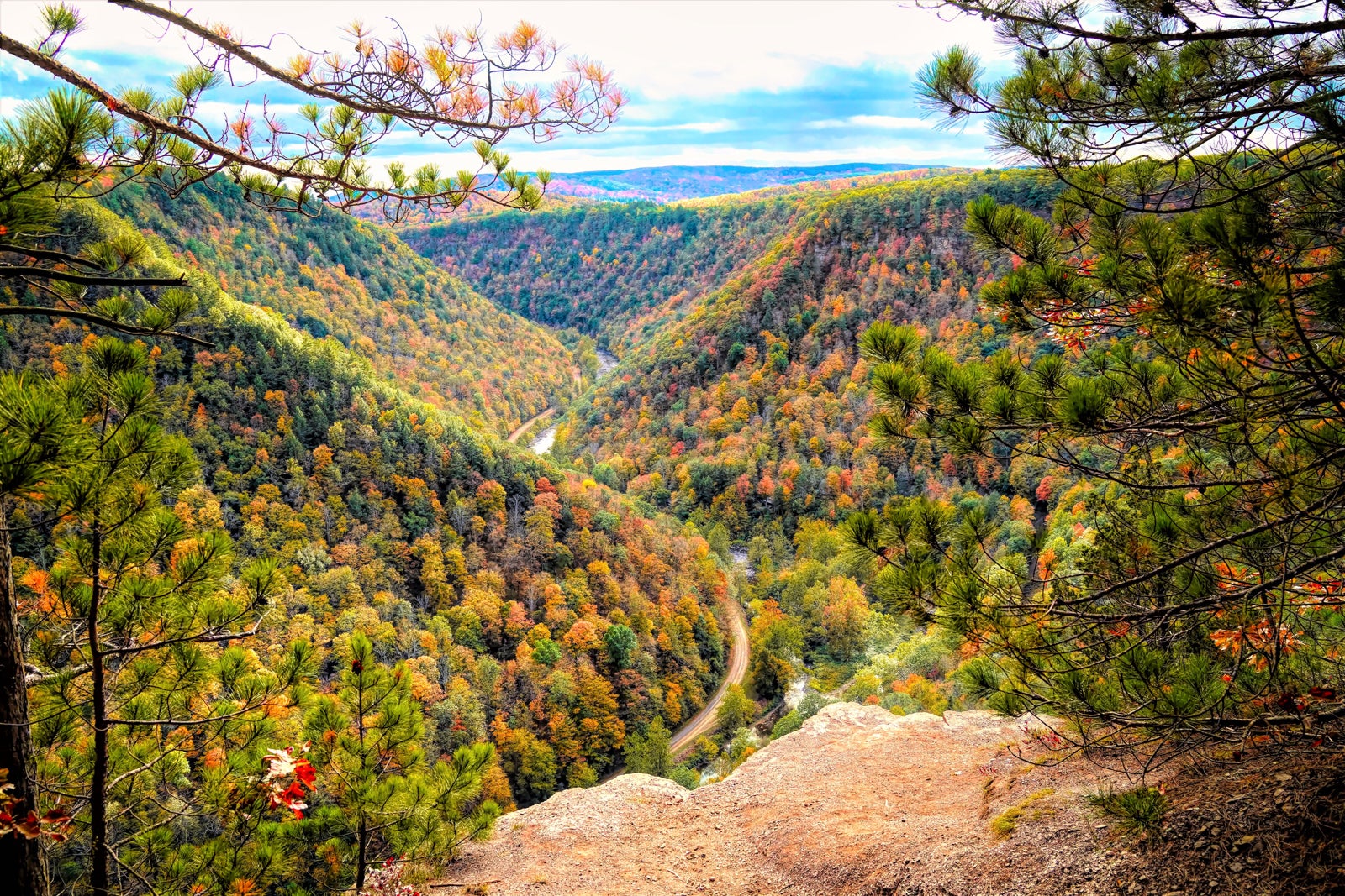 Pine Creek Gorge