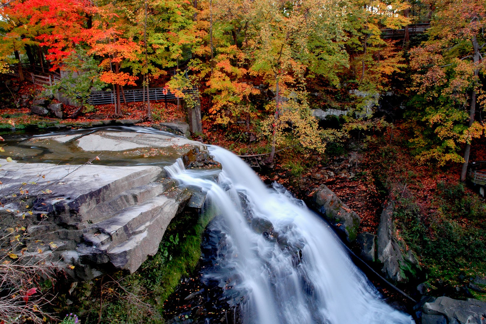 Brandywine Falls with fall foliage