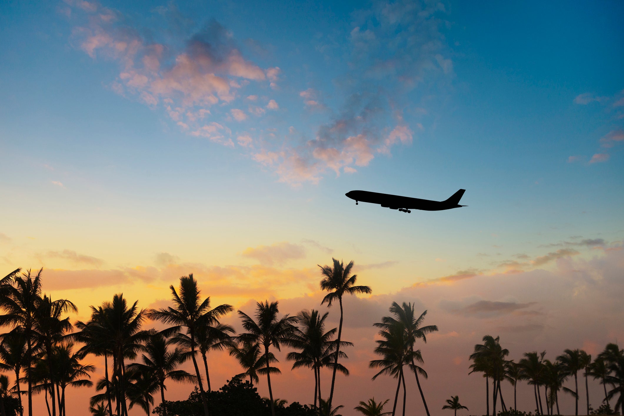 Plane takes off in sunset