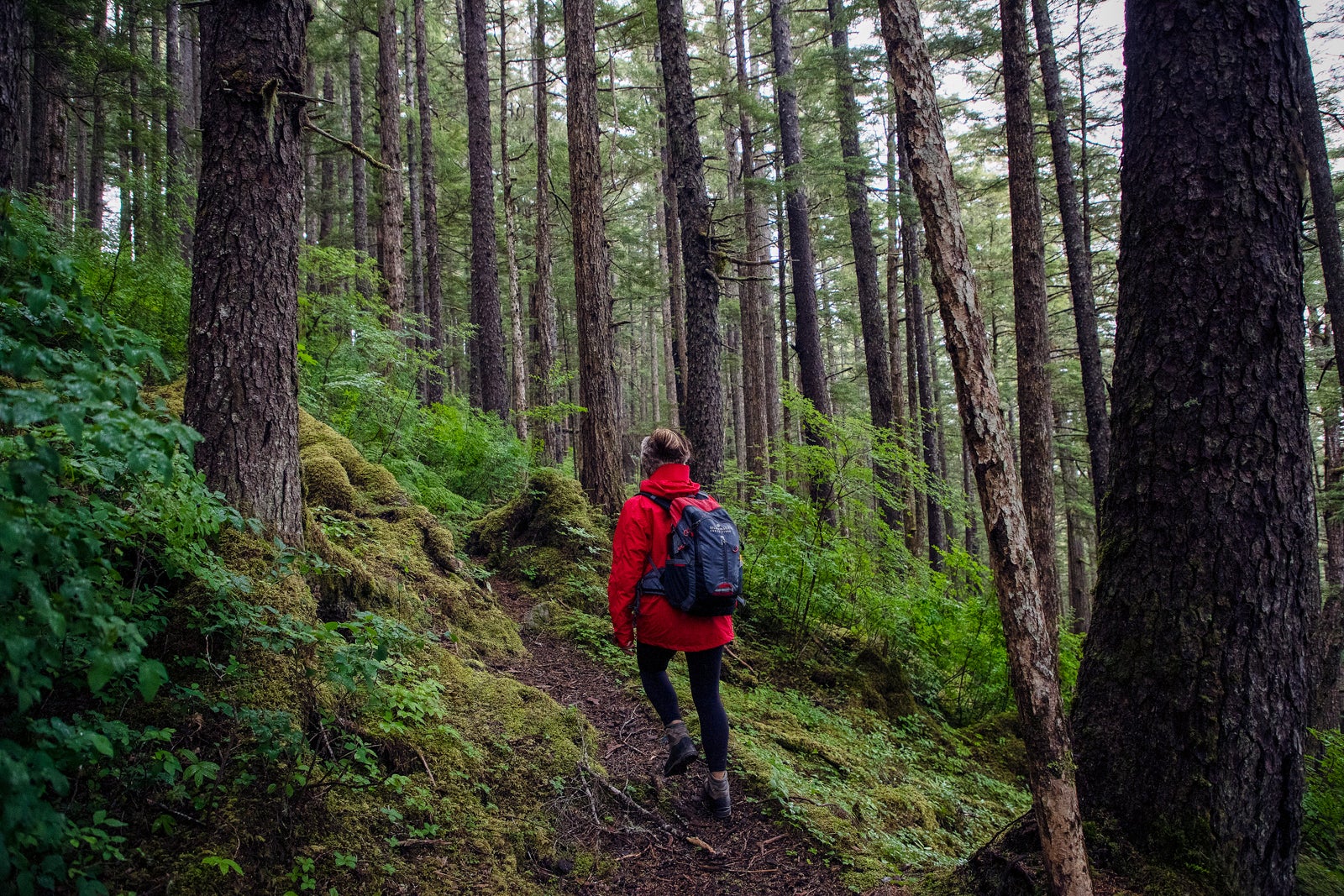 Woman in red jacket with backpack hiking in an Alaskan forest