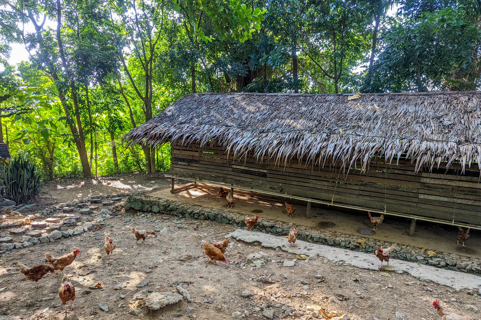 Six Senses Yao Noi hens