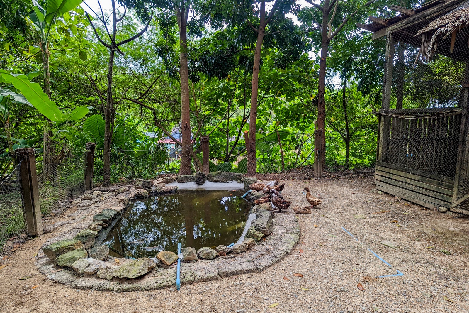 Six Senses Yao Noi farm