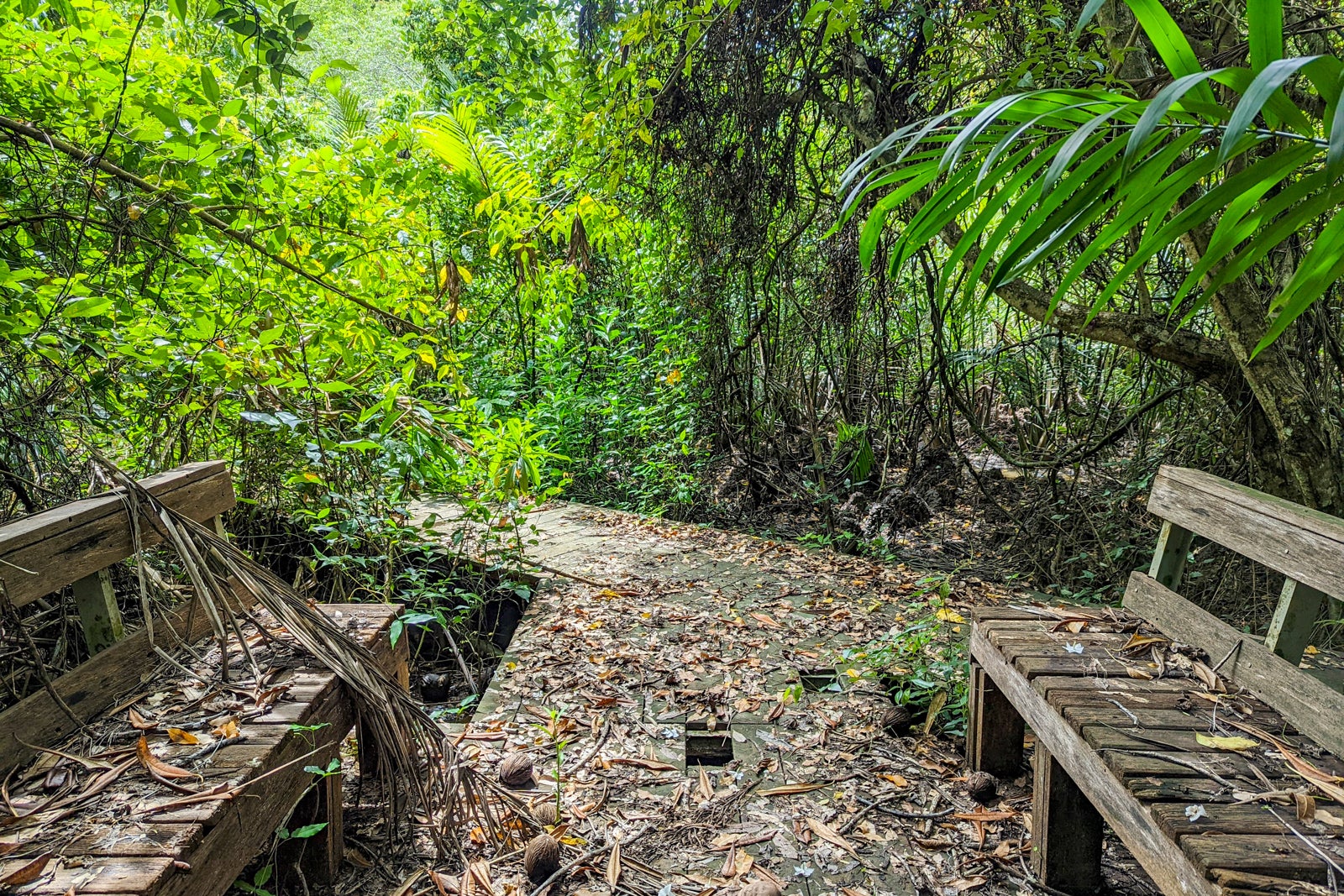 Six Senses Yao Noi mangrove trail