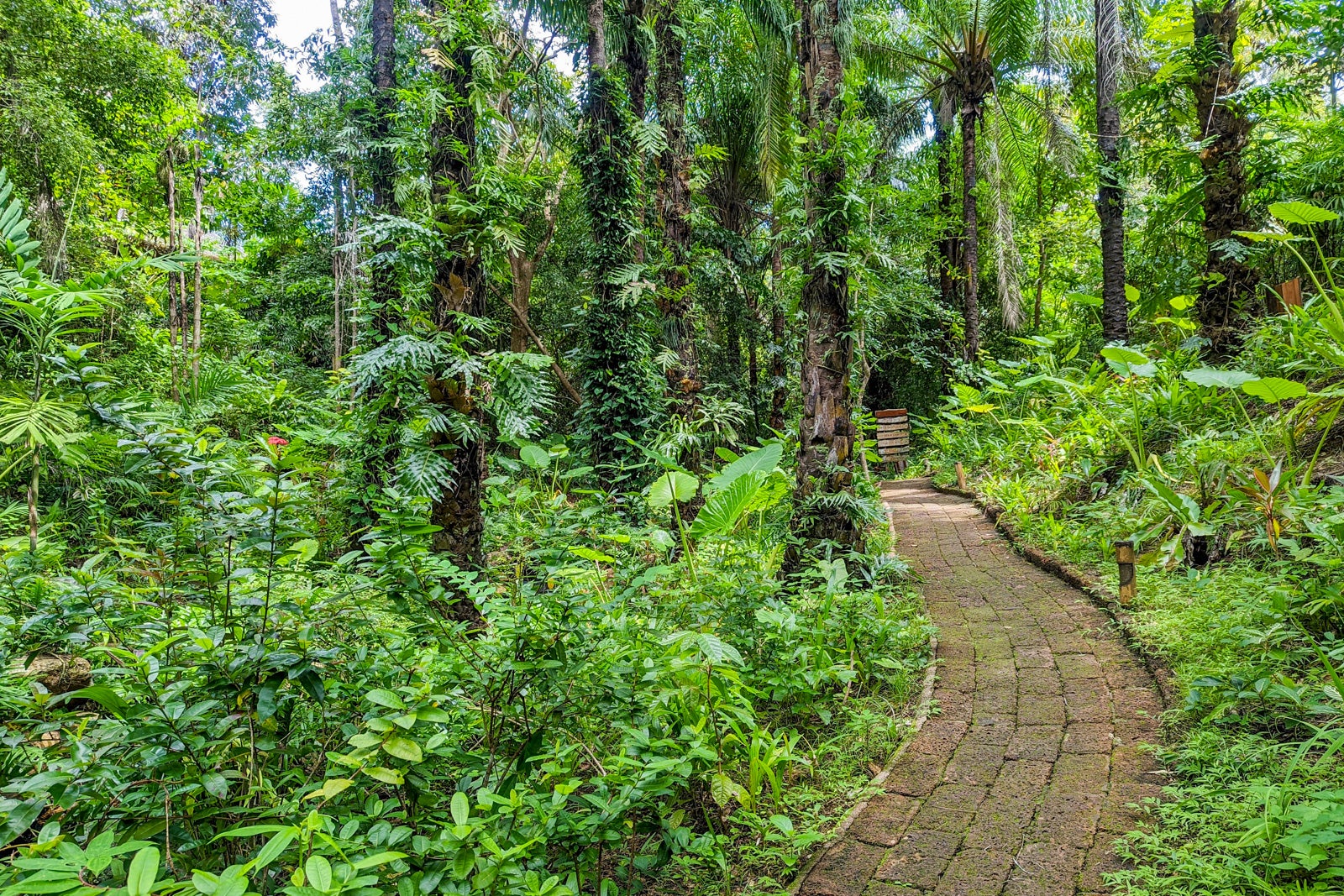 Six Senses Yao Noi paths