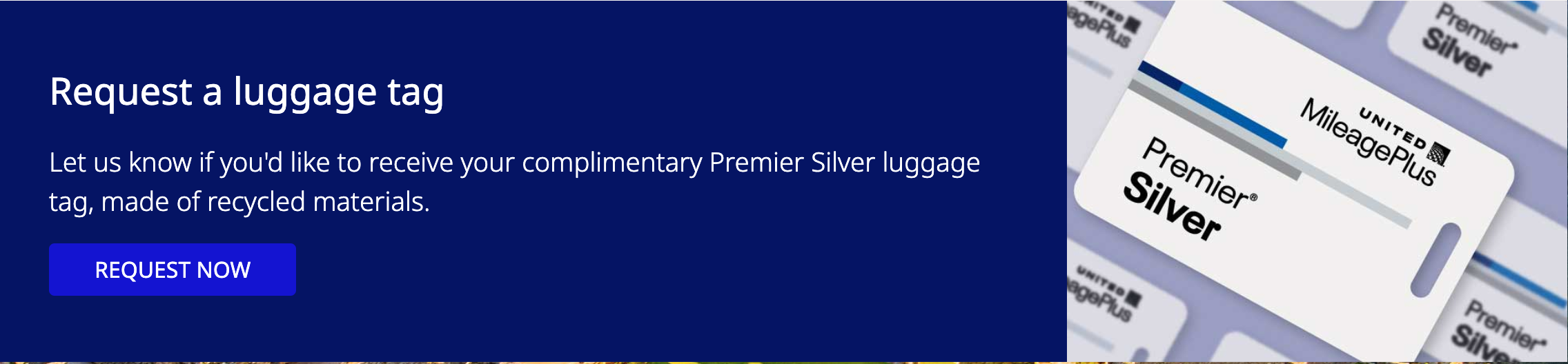 Premier Silver luggage tag