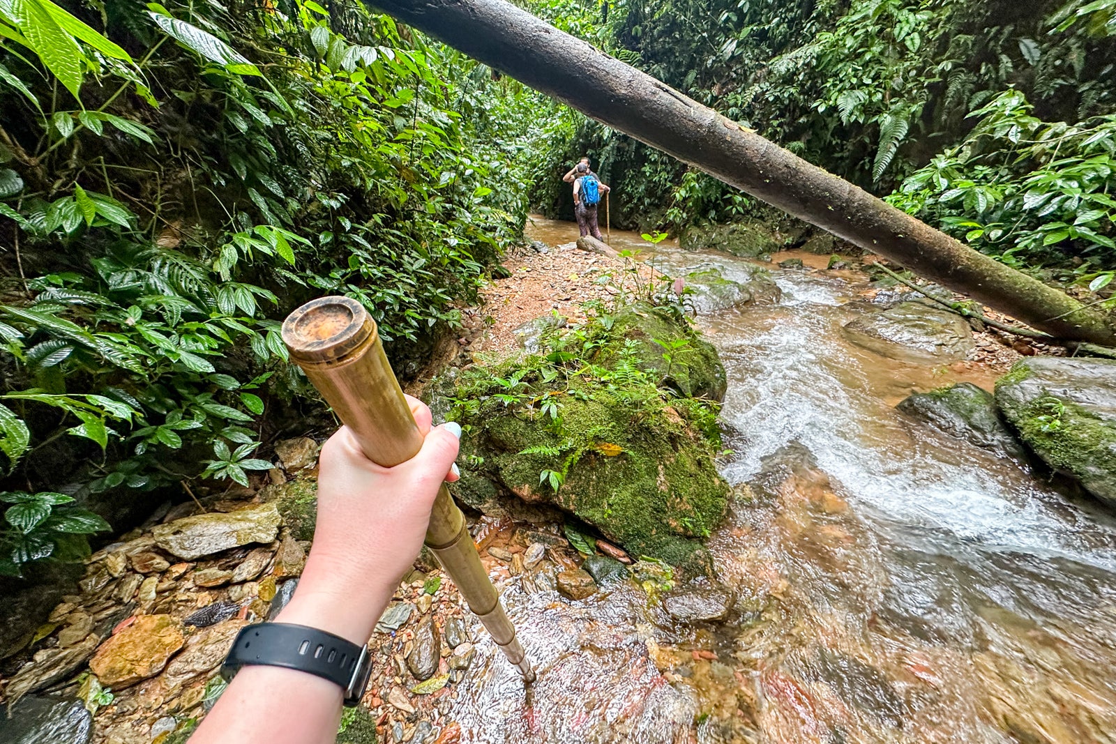 A hiker wades through a river with a walking stick