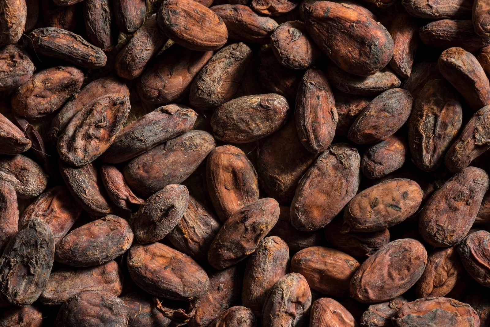 cocoa beans