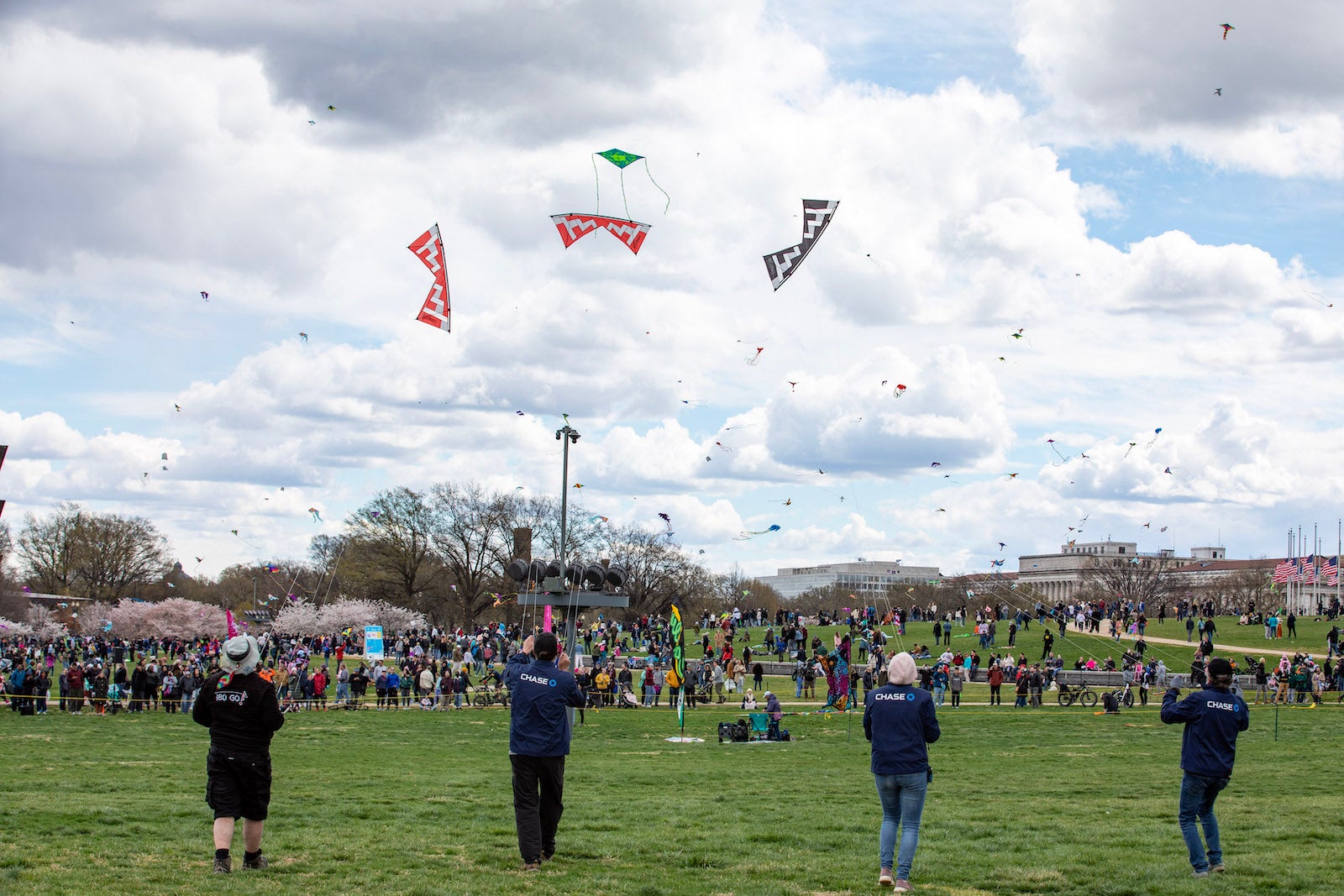 kites at cherry blossom festival
