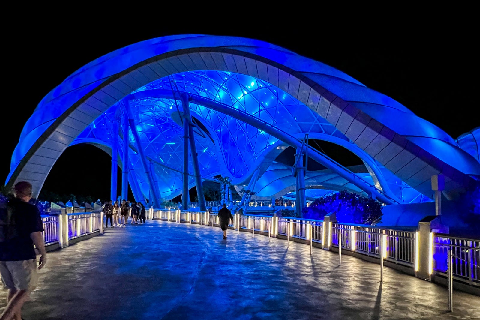 Nighttime lights at Tron Lightcycle Run