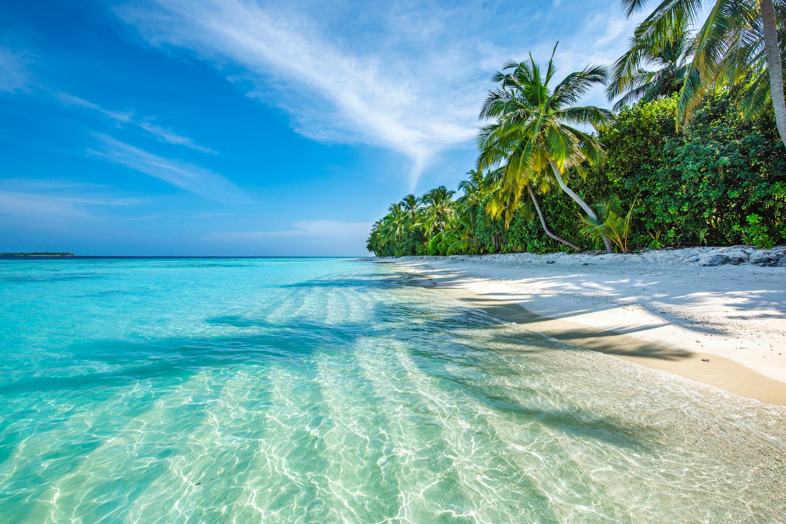 clear water tropical beach