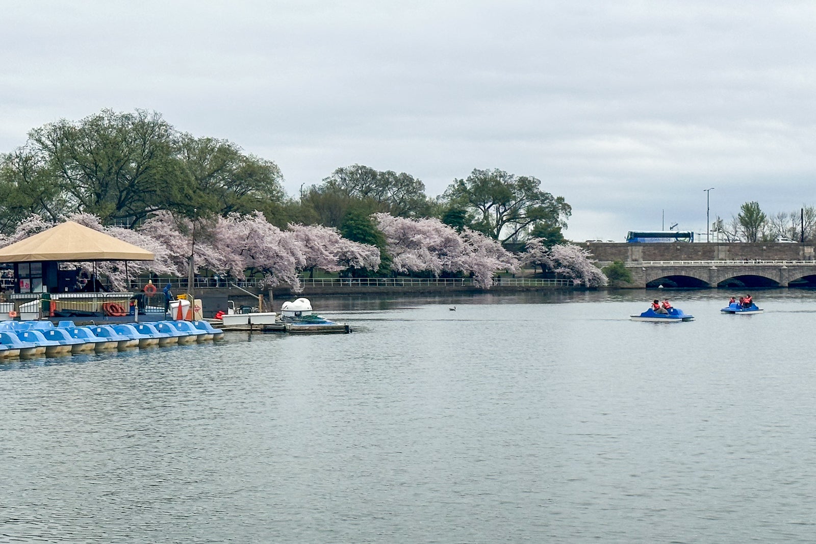 National mall DC tidal basin