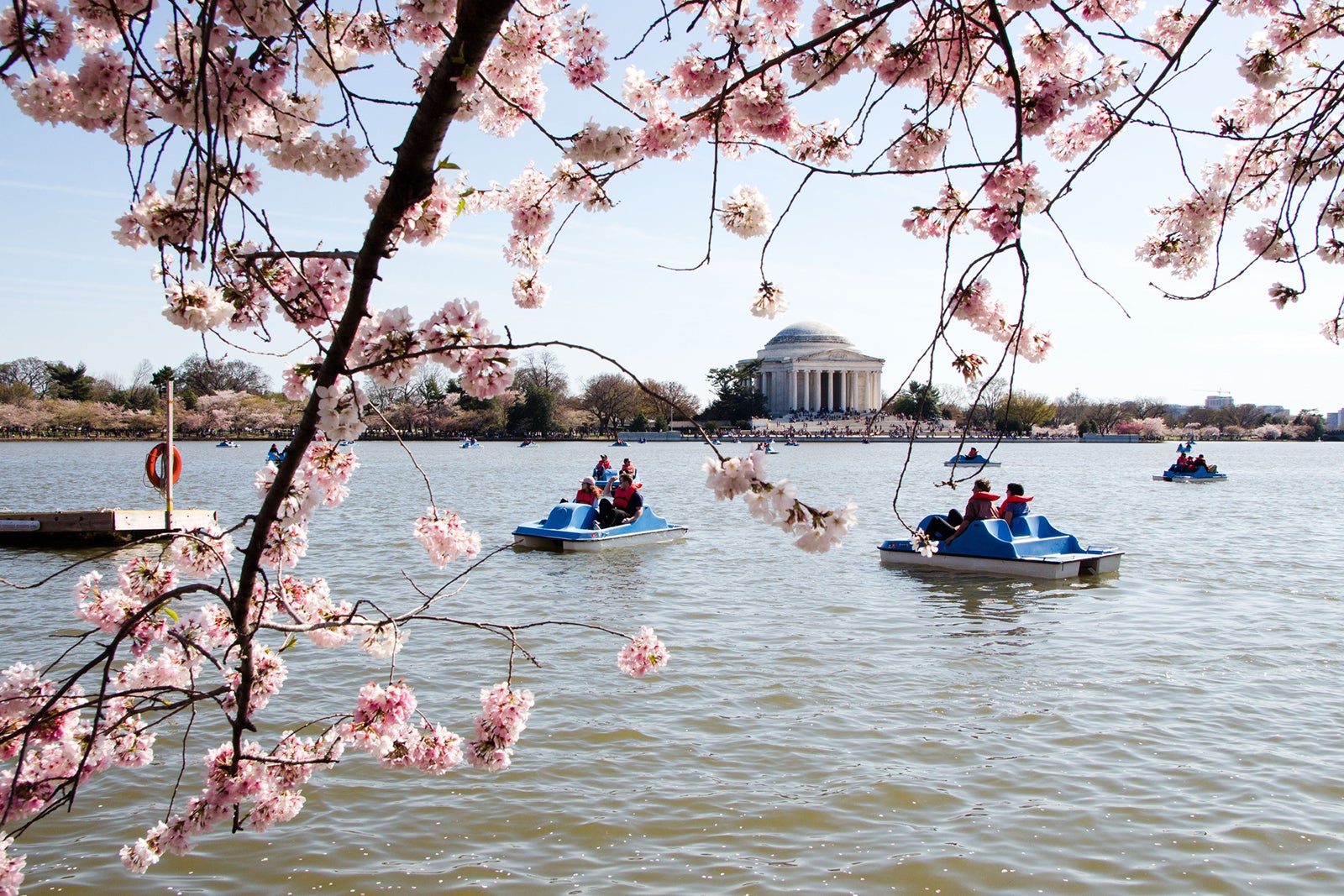 The perfect 1-day field trip in Washington, DC, for travelers of all ages