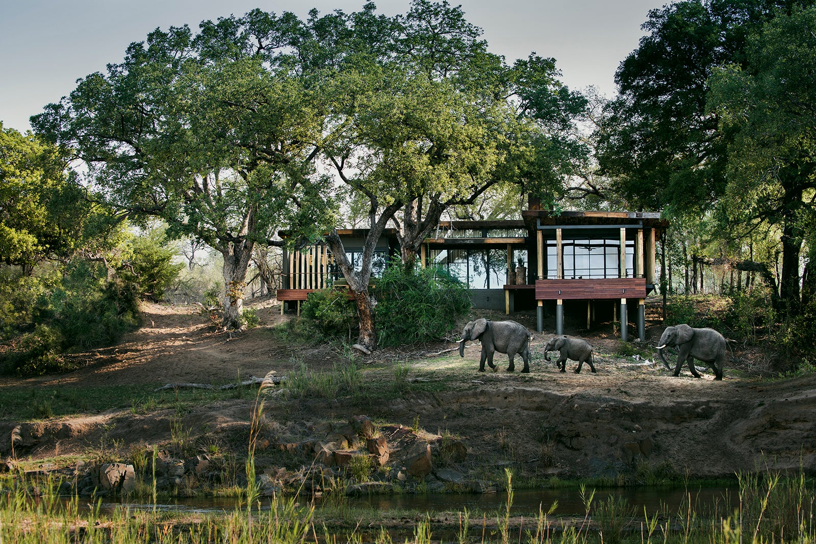 One of the luxurious cabins at andBeyond Tengile River Lodge.