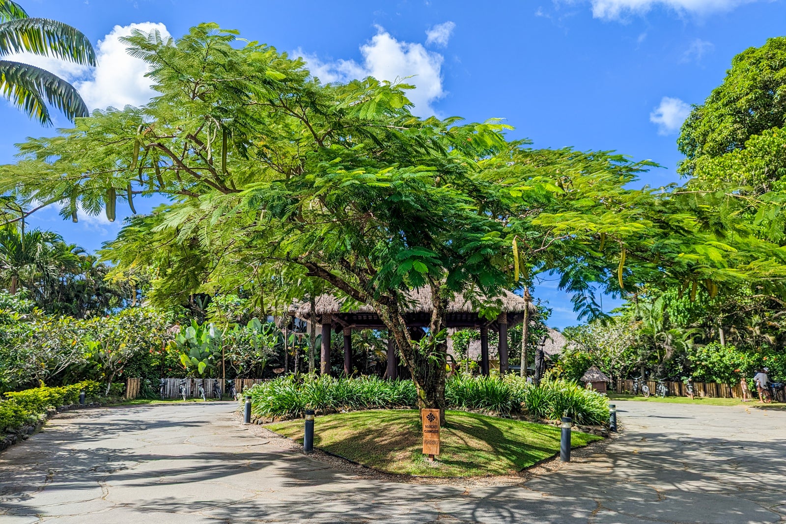 Nanuku Fiji Clubhouse tree