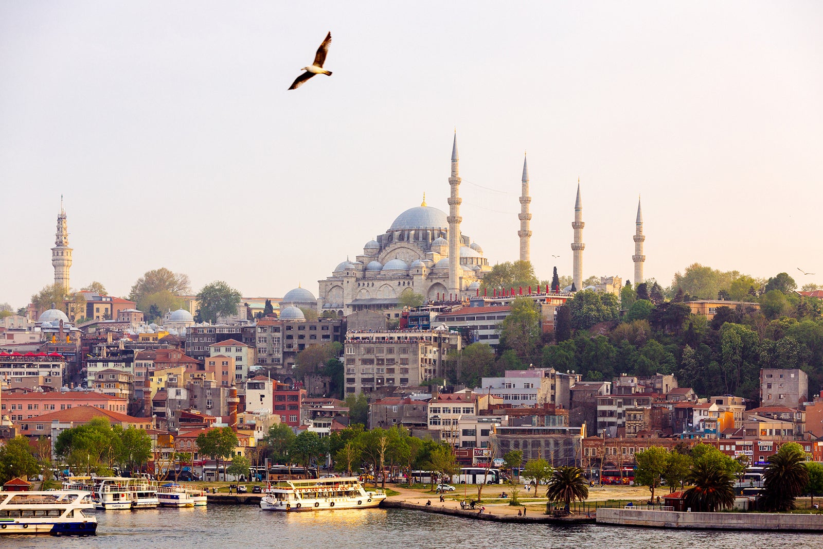 Suleymaniye Mosque and Golden Horn harbor in Istanbul, Turkey