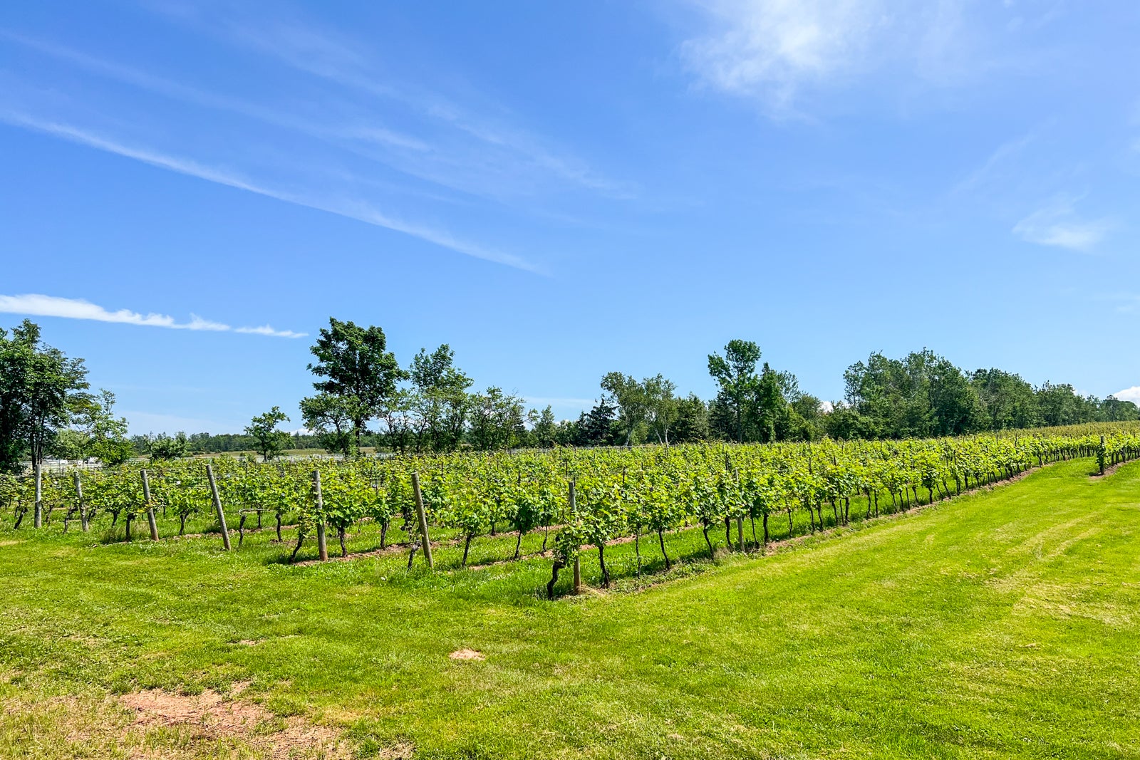 Nova Scotia winery Jost Vineyards