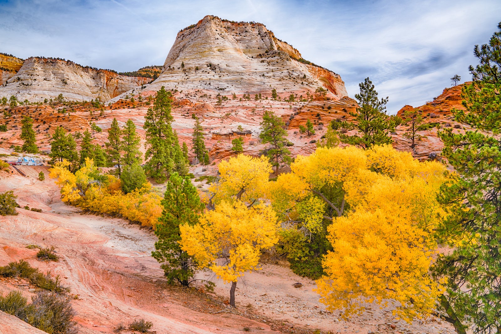 bright yellow and green trees in front of red cliffs