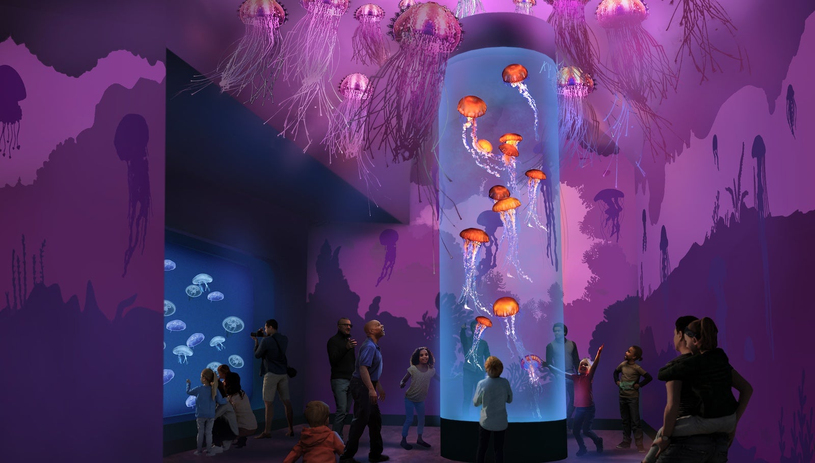 Jewels of the Sea: The Jellyfish Experience at SeaWorld San Diego. SEAWORLD SAN DIEGO